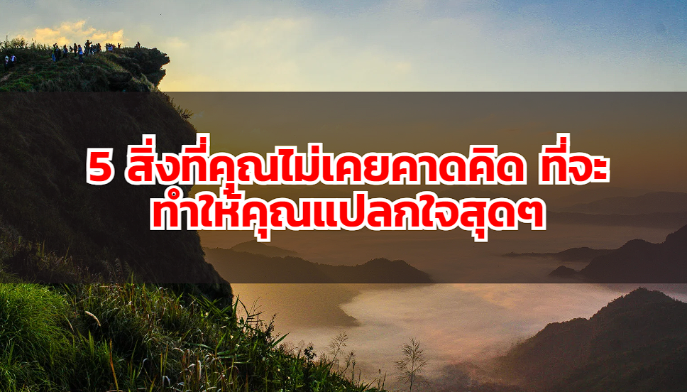 5 สิ่งที่คุณไม่เคยคาดคิด ที่จะทำให้คุณแปลกใจสุดๆ